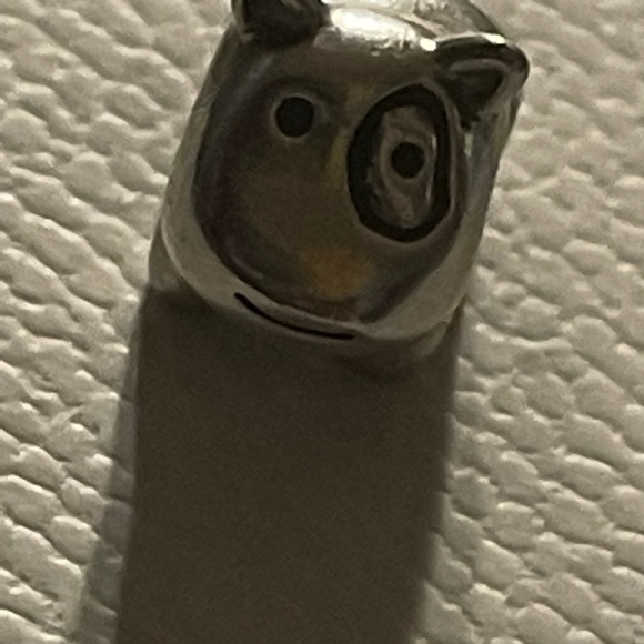 Retired pandora charm - Picture 1 of 2